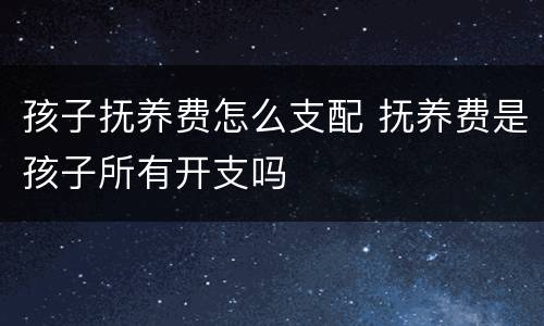 孩子抚养费怎么支配 抚养费是孩子所有开支吗