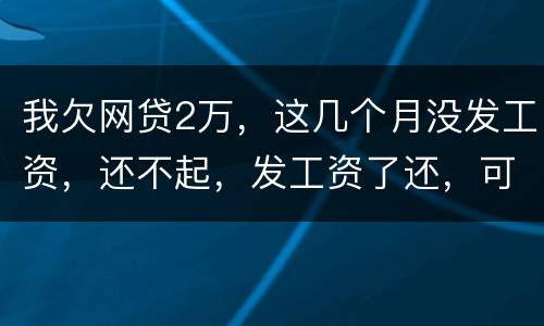 我欠网贷2万，这几个月没发工资，还不起，发工资了还，可以吗