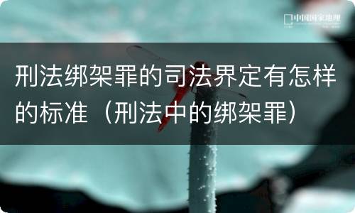 刑法绑架罪的司法界定有怎样的标准（刑法中的绑架罪）