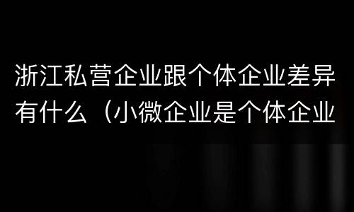 浙江私营企业跟个体企业差异有什么（小微企业是个体企业还是私营企业）