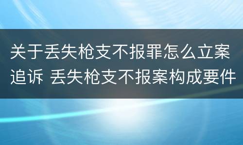 关于丢失枪支不报罪怎么立案追诉 丢失枪支不报案构成要件