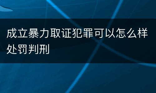 成立暴力取证犯罪可以怎么样处罚判刑