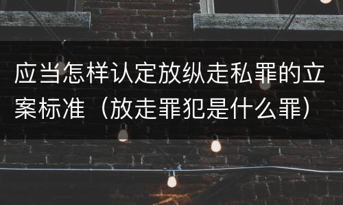 应当怎样认定放纵走私罪的立案标准（放走罪犯是什么罪）