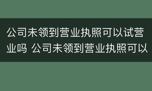 公司未领到营业执照可以试营业吗 公司未领到营业执照可以试营业吗合法吗