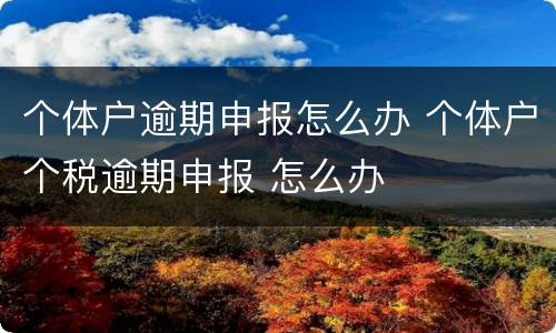 个体户逾期申报怎么办 个体户个税逾期申报 怎么办