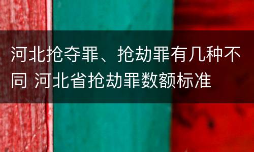 河北抢夺罪、抢劫罪有几种不同 河北省抢劫罪数额标准