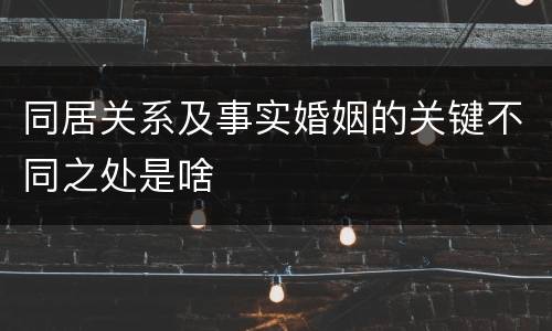 同居关系及事实婚姻的关键不同之处是啥