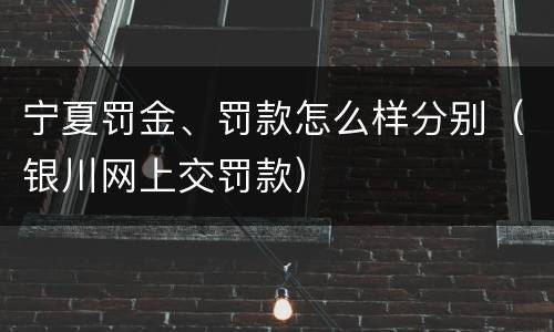 宁夏罚金、罚款怎么样分别（银川网上交罚款）