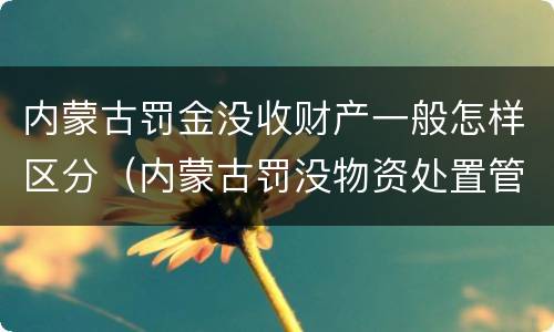 内蒙古罚金没收财产一般怎样区分（内蒙古罚没物资处置管理办法）