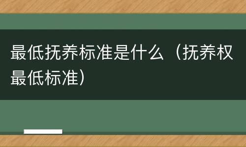 最低抚养标准是什么（抚养权最低标准）