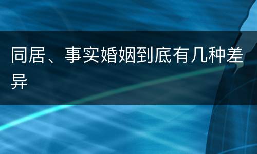 同居、事实婚姻到底有几种差异