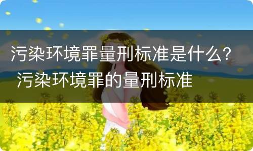污染环境罪量刑标准是什么？ 污染环境罪的量刑标准