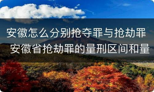 安徽怎么分别抢夺罪与抢劫罪 安徽省抢劫罪的量刑区间和量刑情节