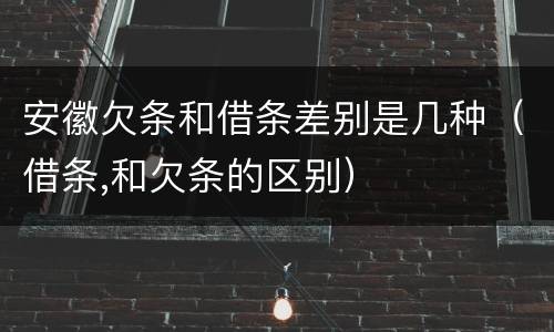 安徽欠条和借条差别是几种（借条,和欠条的区别）