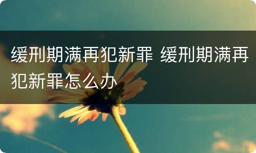 缓刑期满再犯新罪 缓刑期满再犯新罪怎么办