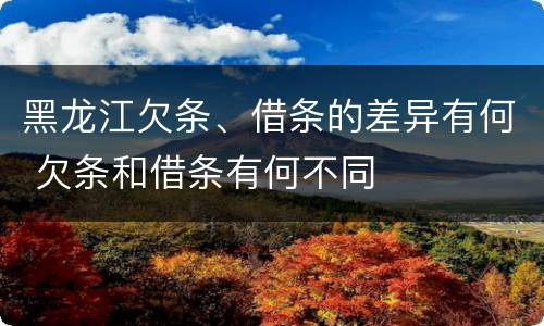 黑龙江欠条、借条的差异有何 欠条和借条有何不同