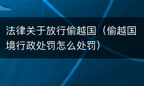 法律关于放行偷越国（偷越国境行政处罚怎么处罚）