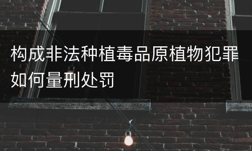 构成非法种植毒品原植物犯罪如何量刑处罚