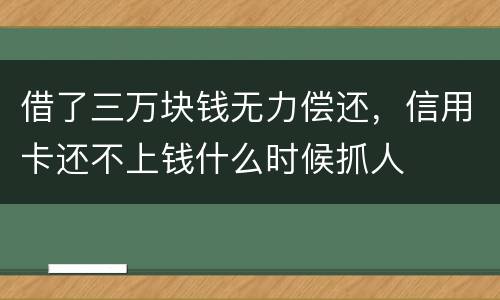 借了三万块钱无力偿还，信用卡还不上钱什么时候抓人