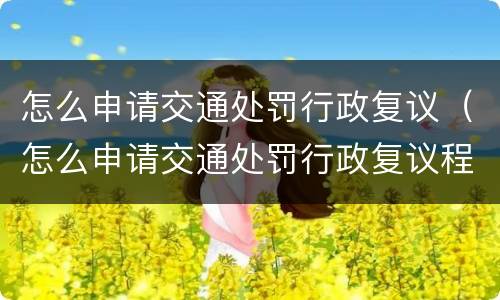 怎么申请交通处罚行政复议（怎么申请交通处罚行政复议程序）