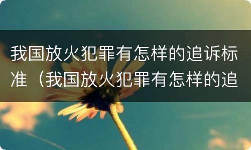 我国放火犯罪有怎样的追诉标准（我国放火犯罪有怎样的追诉标准呢）