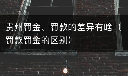 贵州罚金、罚款的差异有啥（罚款罚金的区别）