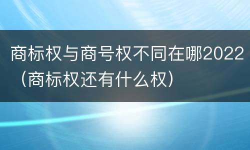 商标权与商号权不同在哪2022（商标权还有什么权）