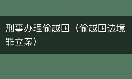 刑事办理偷越国（偷越国边境罪立案）