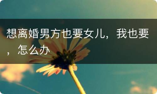 想离婚男方也要女儿，我也要，怎么办