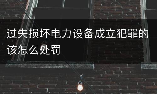 过失损坏电力设备成立犯罪的该怎么处罚