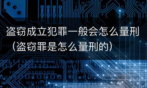 盗窃成立犯罪一般会怎么量刑（盗窃罪是怎么量刑的）