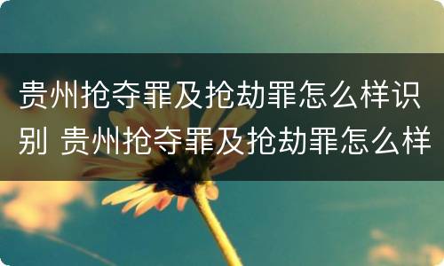 贵州抢夺罪及抢劫罪怎么样识别 贵州抢夺罪及抢劫罪怎么样识别案件