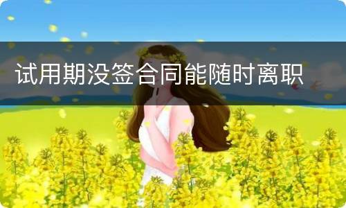 试用期没签合同能随时离职