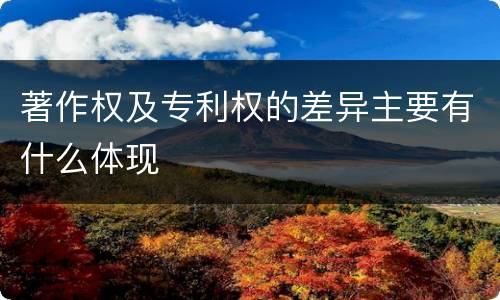 著作权及专利权的差异主要有什么体现