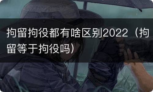 拘留拘役都有啥区别2022（拘留等于拘役吗）