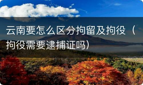 云南要怎么区分拘留及拘役（拘役需要逮捕证吗）