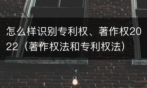 怎么样识别专利权、著作权2022（著作权法和专利权法）