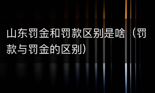 山东罚金和罚款区别是啥（罚款与罚金的区别）