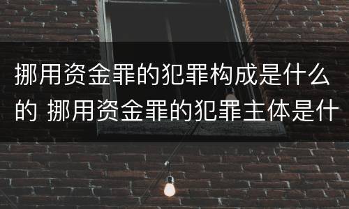 挪用资金罪的犯罪构成是什么的 挪用资金罪的犯罪主体是什么