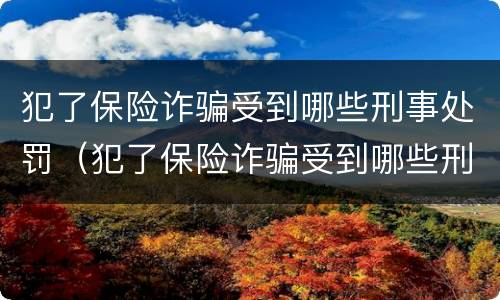 犯了保险诈骗受到哪些刑事处罚（犯了保险诈骗受到哪些刑事处罚可以缓刑）