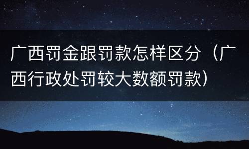 广西罚金跟罚款怎样区分（广西行政处罚较大数额罚款）