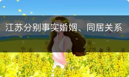 江苏分别事实婚姻、同居关系