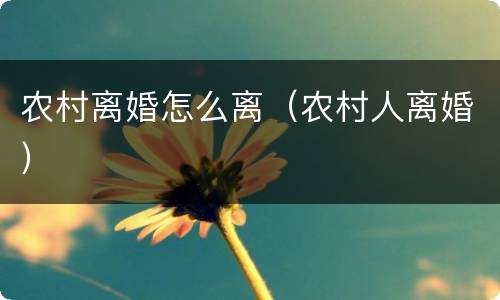 农村离婚怎么离（农村人离婚）