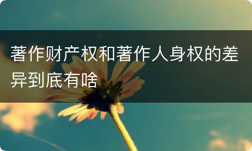 著作财产权和著作人身权的差异到底有啥