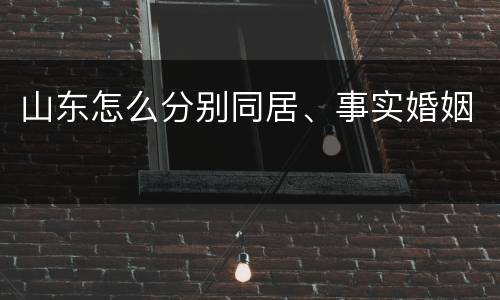 山东怎么分别同居、事实婚姻