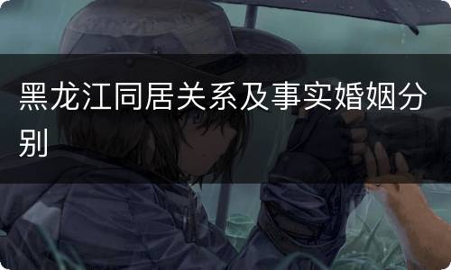 黑龙江同居关系及事实婚姻分别