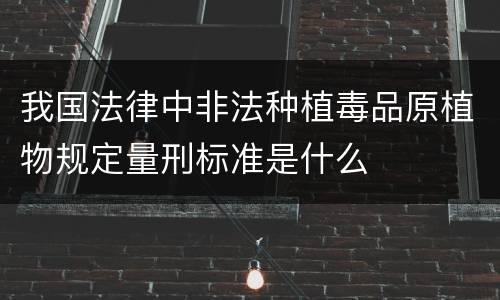 我国法律中非法种植毒品原植物规定量刑标准是什么