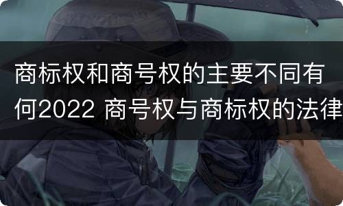 商标权和商号权的主要不同有何2022 商号权与商标权的法律冲突与解决