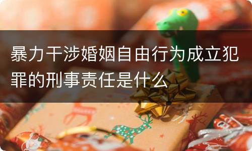 暴力干涉婚姻自由行为成立犯罪的刑事责任是什么