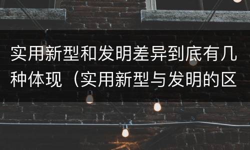 实用新型和发明差异到底有几种体现（实用新型与发明的区别）